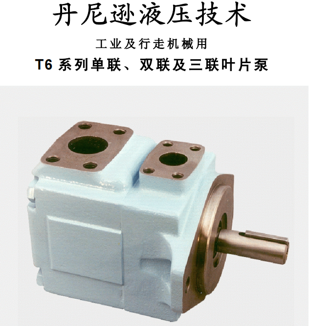 丹尼遜T6 系列單聯(lián)、雙聯(lián)及三聯(lián)葉片泵